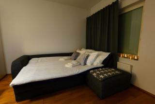 Comfortable apartment near Arktikum - 5