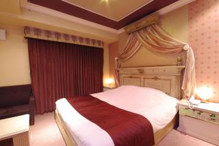 Hotel Pharaoh-Adult Only - 2