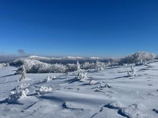 Błyszczowe Berce - 3