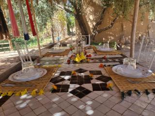 Eco-Ferme Tamalait Skoura - 5