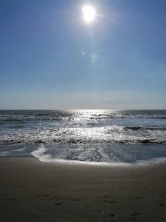 Perla di Mare chiaro - 6