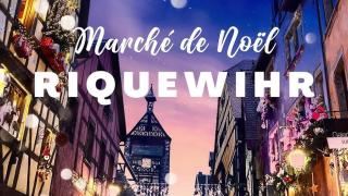 Gîte des Tourtereaux proche Europapark et Rulantica - 6