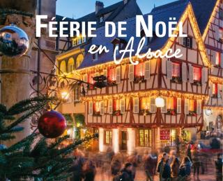 Gîte des Tourtereaux proche Europapark et Rulantica - 5