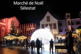 Gîte des Tourtereaux proche Europapark et Rulantica - 4