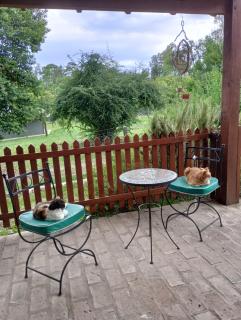 Luna en Acuario Hospedaje - 7