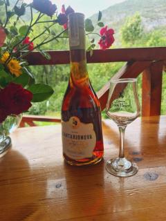 Vila Nina - gde duša diše - 7