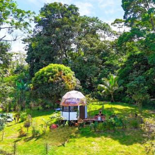 Selva Partners Chachagua - 0