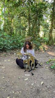 Hostal Búho Amazonas tours - 6