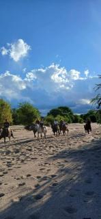 Cabaña La Rosadita - 8