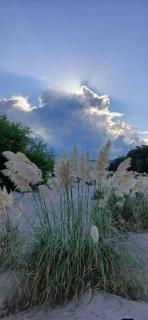 Cabaña La Rosadita - 7