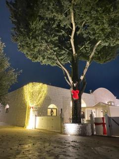 Casale Del Musico - 9