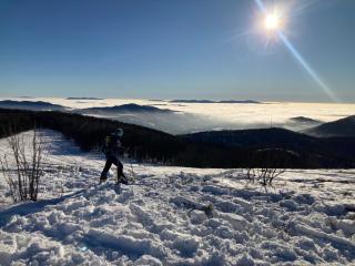 Błyszczowe Berce - 5