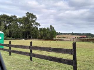 Parcela Llanquihue - 4