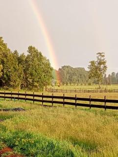 Parcela Llanquihue - 3