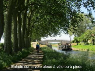 Tiny house 3 à 4 personnes - 1