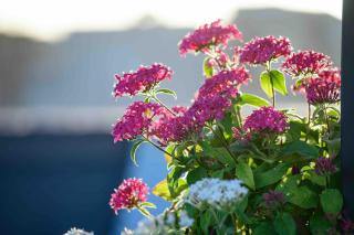 Atticobianco B&B - 3