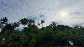 WILD PARADISE Apt - 3