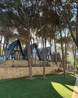 Pine Straw Douma - 0