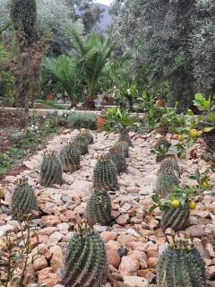 Sel d Ailleurs, Ouirgan - adults only - 9