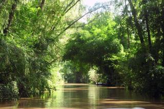 Beautiful cabin in Tigre, next to the river - Isla Lucha - 1