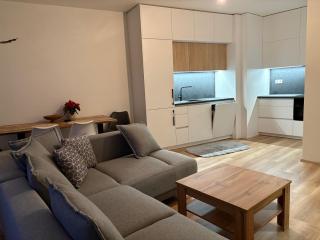 Riverside Vrchlabí - 1