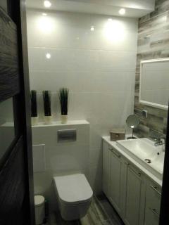 Bieszczady Apartament Gniazdo Baligród - 6