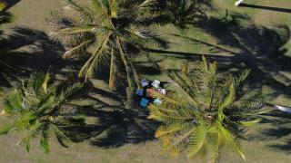 Auberge de Poé - Bourail - 9