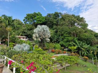 El Diamante - Colibri - 6