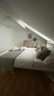 Anyas rooms - Antrim - 6