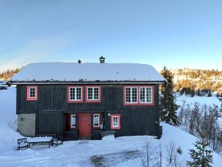 Mountain cabin in Aurdal Fireplace Sauna 1000 meters above sea level - 9