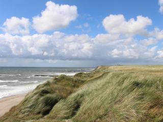 10 person holiday home in Ringkøbing - 6