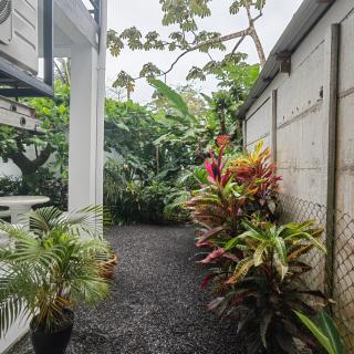 Hospedaje Casa Blanca Tortuguero - 4