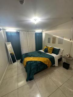 Colorful luxe apartment near the heart of Kingston - 7