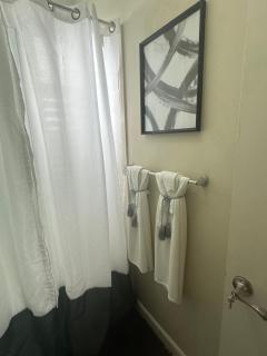 Colorful luxe apartment near the heart of Kingston - 2