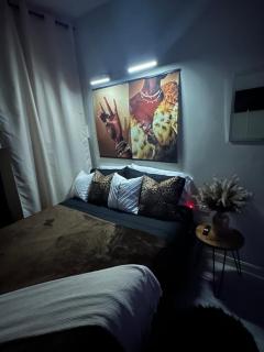 Colorful luxe apartment near the heart of Kingston - 1