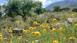 Casa de montaña - 3