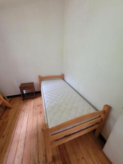 Cabaña Bosques de Santa Elvira - 1