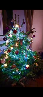 Une bulle de bien être au rendez vous - 7