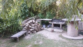 Isla La Paz - Tigre - 2