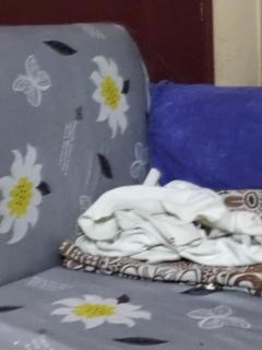 Hotel Hayden Pyramids View - 0