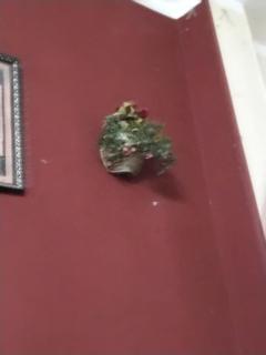 Hotel Hayden Pyramids View - Kairo - 1