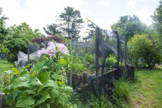 Enhance Health and Wellness Guest House - 3