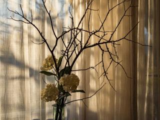 3 Bedroom Suite at Claremont Oak Estate - 2