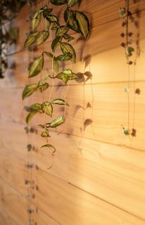 Creating Balance Nature Retreat - Golden Bay - 1