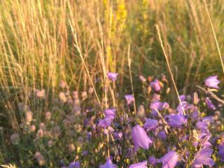 5 person holiday home in ESKILSTUNA - 4