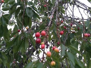 5 person holiday home in ESKILSTUNA - 6