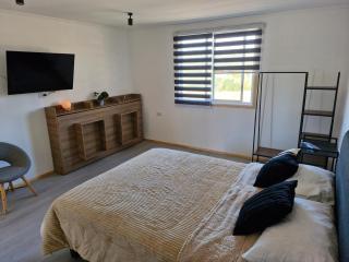 Entre Quebradas y Loicas - 3