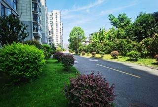 SmileNest Zhangjiajie Downtown Elegant Luxury Suite Private Custom Journeys VIP Ticket Service For 2-6 Guests - 4