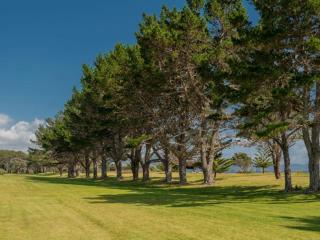Hosts on the Coast Taranui's Nest - 6