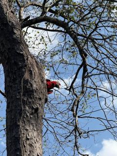 Refúgio Mimoso - acesso privativo ao Rio Mimoso - 2